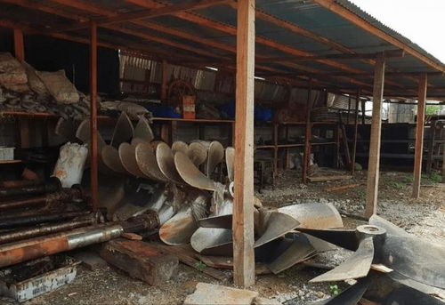 从日用百货到非洲新机遇 探索多元化发展路径